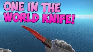 CS GO  The Rarest Knife  McSkillet Inventory Update [upl. by Faden281]