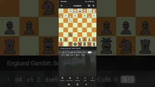 Soller gambit shortschess brilliantmove boardgame checkmate [upl. by Rauscher]