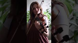 Harp Violin Harpist Violinist instrumental canon pachelbelscanon weddingsong weddingmusic [upl. by Grof197]