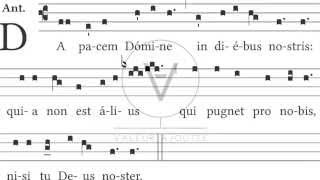 Geerten Liefting  Da Pacem Domine [upl. by Kenrick]