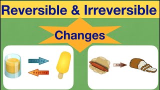 Changes Around Us Reversible amp Irreversible change class 6 sciencechemistry part2 [upl. by Geller]