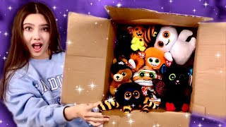 SPOOKY 2023 BEANIE BOO HAUL [upl. by Guido]