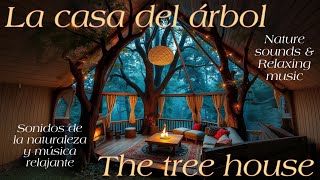 La casa del árbolAmbiente acogedorMúsica antiestrés para descansarThe Tree house40min De música [upl. by Tasiana]