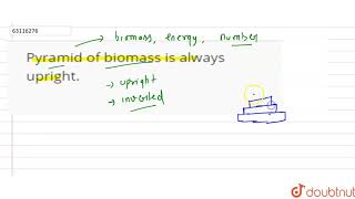 Pyramid of biomass is always upright [upl. by Aikemahs387]