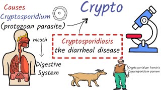 Cryptosporidiosis  Causes Symptoms Life Cycle Diagnosis Treatment Prevention [upl. by Ahsitahs]