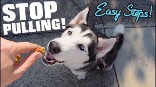 STOP Your Husky From Pulling On The Leash Easy Steps To A Smooth Walk [upl. by Niatsirhc234]