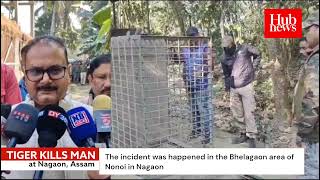 60yearold man killed by tiger in Assam’s Nagaon [upl. by Lisandra]