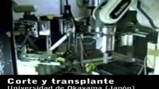 Robotica en la Agricultura [upl. by Akoek]