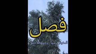 قراءة زاد المستقنع 59 [upl. by Ahseuqram]