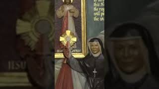 Saint Faustina Diary 5 inspiration saintfaustina catholic christian christianity god love [upl. by Eladnwahs]