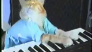 Play Him Off Keyboard Cat Dance Mix Remix [upl. by Shaughn660]