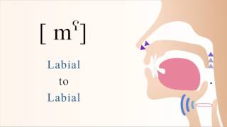 mˁ  voiced pharyngealized bilabial nasal stop [upl. by Aneehsyt]