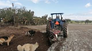 Barbecho con la newholland 5610 [upl. by Milford]