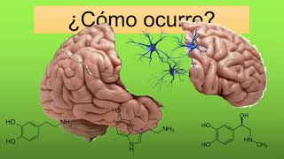 ¿Qué es la esquizofrenia ENTIENDELO DE UNA VEZ con indice [upl. by Allets292]