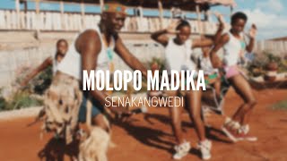 Molopo Madika  Senakangwedi  Doc Mokone  Limpopo Music Fest [upl. by Sikras]