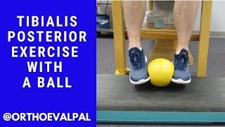 Tibialis Posterior Strengthening Exercise with a BallOrtho Eval Pal [upl. by Nightingale135]