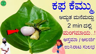 Kemmu Kafa Mane Maddu in Kannada  Kemmu Mane Maddu Kannada  ಕಫ ಕೆಮ್ಮಿಗೆ ಮನೆಮದ್ದು  Yedeyalli Kapa [upl. by Eneirda]