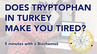 Does Tryptophan in Turkey Make You Tired 5 minutes with a Biochemist [upl. by Ajad]