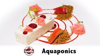 Epilimnion Aquaculture TampT  Foodie Nation Feature [upl. by Doig]