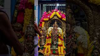 Kanda sasthi Day 1 love godmuruga hindugodsongs motivation murugasongs song hindugod [upl. by Cassondra]