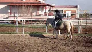 ΕΚΠΑΙΔΕΥΣΗ ΑΛΟΓΩΝ ΚΑΙ ΑΝΘΡΩΠΩΝ  HORSE AND HUMAN TRAINING [upl. by Cyrus]