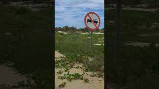 Flecheiras Ceará Praia 🌴 🌴 🌴 18052024 [upl. by Lanos]