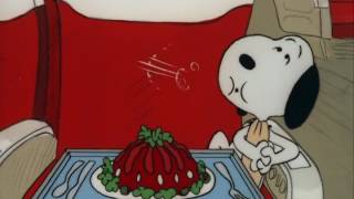 Snoopy and Woodstock on the Plane [upl. by Durst]