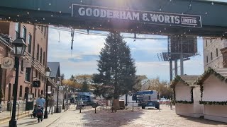 Giant 56foot Christmas Tree Arrived at Distillery District [upl. by Fotina336]