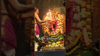 nataraja sivan songsthiruchitrambalamsivam songs tamilsiva sivayaannamalaiyarsongsanpa sivam [upl. by Judd603]