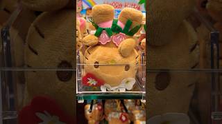 Hawaiian Sanrio Merch  ABC Store Ala Moana Shopping Center Honolulu Oahu Hawaii USA [upl. by Kellina83]