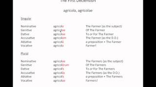 Latin Grammar  First Declension Nouns [upl. by Stewardson]