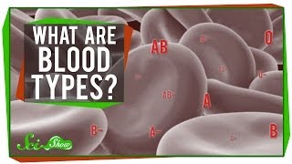 What are Blood Types [upl. by Rintoul]