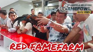 3rd Cagayan De Oro National Gamefowl Expo 2024 RED GAMEFARM [upl. by Sabanrab]