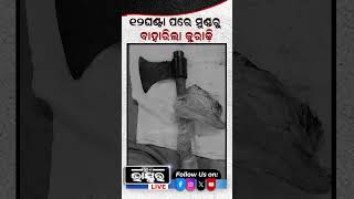 ୧୨ ଘଣ୍ଟା ପରେ ମୁଣ୍ଡରୁ ବାହାରିଲା କୁରାଢ଼ୀ shortsvideo odishabhaskar odisha [upl. by Aerdnac]