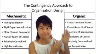 Organization Design Mechanistic vs Organic [upl. by Cherian916]