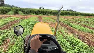 Aplicação de herbicida e pré emergente na linha do plantio do café [upl. by Ynaffital]