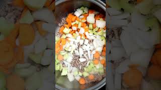 Homemade Beef Bean And Spinach Soup  Made From Scratch  The Southern Mountain Kitchen shorts [upl. by Mame]