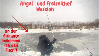 Forellenangeln mit Bodentaster Angelhof Weseloh im Winter Powerbait Bienenmade Trout Fishing [upl. by Yentroc]