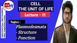 plasmodesmata Cell  The Unit of Life  Plasmodesmata  its structure amp function [upl. by Banyaz]