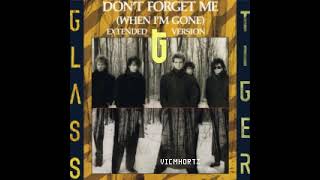 quotDont Forget Me When Im Gonequot 12inch Extended Version  GLASS TIGER [upl. by Ilegna]