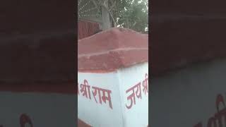 Savere Savere darvaje per yah kam Karen Mahalaxmi Dori chalayenge short video [upl. by Mistrot927]