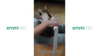 emmi®pet Grooming Kit Pro [upl. by Htebesile212]