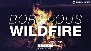 Borgeous  Wildfire [upl. by Gwendolyn]