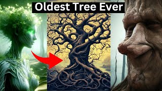 This is the Oldest living Tree  99 People Dont Know [upl. by Aenotna554]