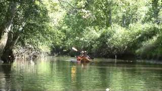 Kayaking on Philpott Reservoir VA [upl. by Yetta]