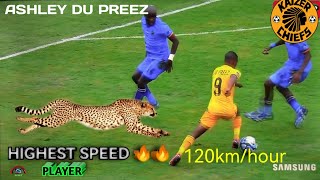 ASHELY DU PREEZ HIGHEST SPEED PLAYER 120km per Hour [upl. by Micheil]