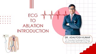 ECG TO ABLATIONPART3 TACHY PROTOCOL [upl. by Hoag824]