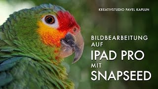 Bildbearbeitung auf iPad Pro mit Snapseed [upl. by Latini]