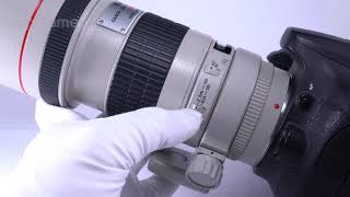 Canon キヤノン EF300mm F4L USM 美品 [upl. by Aitercul]