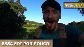 24 horas sozinho no mato sobrevivendo e rastreando animais  Sobreviva Ep15 [upl. by Ahsha]